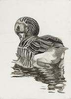 KT 2022 018
<br/>
Zonder titel (gans)
<br/>
<em>Hendriks, Rosemin (1968)</em>